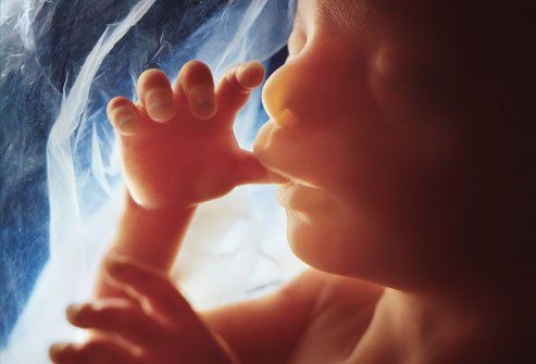 20_week_fetus-1920w-300x204-1 20 week fetus new life adoptions im pregnanty